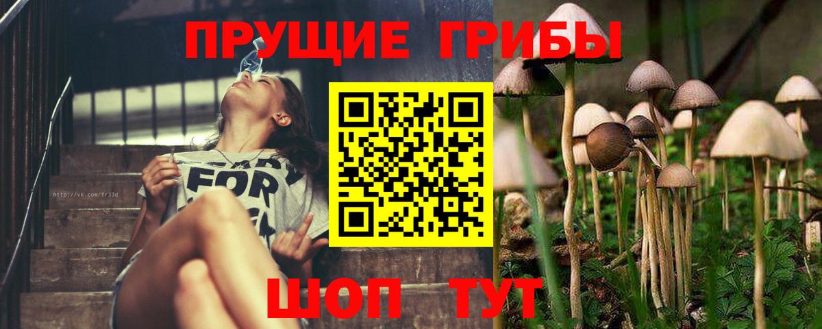 Псилоцибиновые грибы MAGIC MUSHROOMS  Галлюциногенные грибы прущие грибы  Миасс  Вход с VPN 